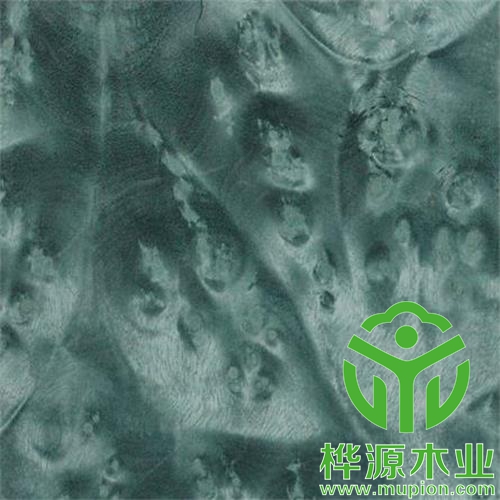 麦当娜染色皮